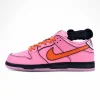 The Powerpuff Girls x Dunk Low Pro SB QS 'Blossom'