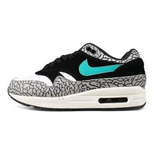 Atmos x Air Max 1 Retro 'Elephant' 2017