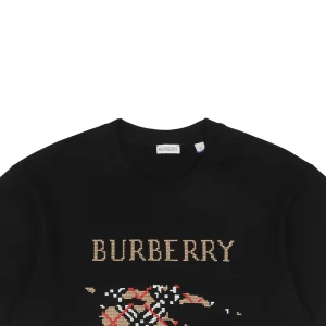 BBry Equestrian Knight Cross-Stitch T-Shirt10.jpeg
