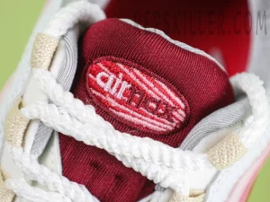 Nike Air Max 95 TT “Anatomy of Air”9