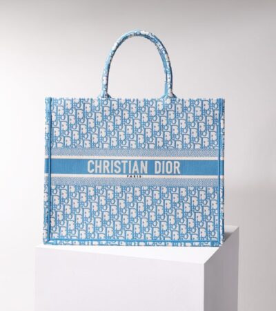 Replica Dior Tote Book CD Light Blue - top-rated replica designer bag