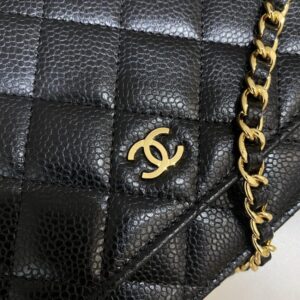 Replica CHANEL Woc Wallet on Chain - authentic-look luxury purse replica