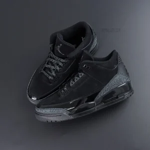 Air Jordan 3 OG "Black Cat"