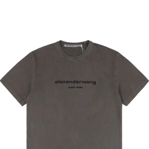 Alexander Wang Glitter Micro Logo Letter Print T-Shirt1.jpeg