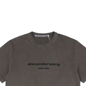 Alexander Wang Glitter Micro Logo Letter Print T-Shirt2.jpeg