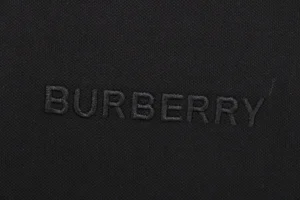 BBry Multicolor Stripe Letter Embroidered Polo Shirt14.jpeg