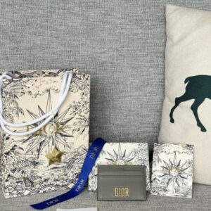 Replica Dior D-Fence Card Holder - ultra-realistic fake designer tote