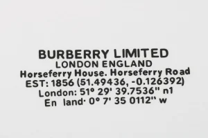 BBry Geocoordinates Rubber Print T-shirt2.jpeg