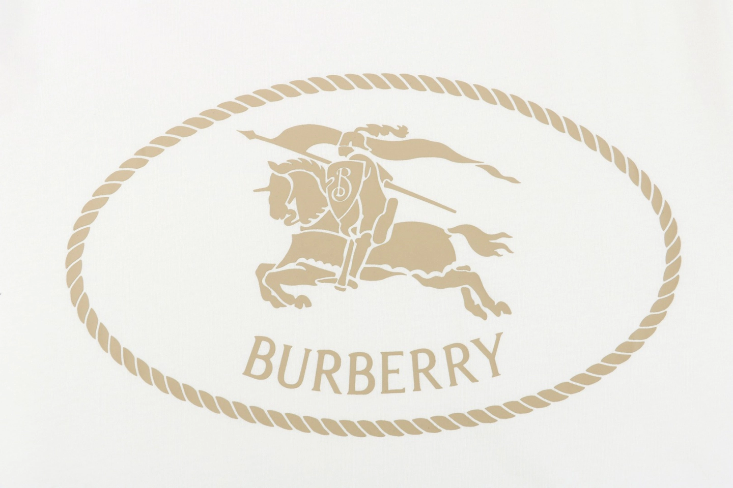 BBry Rope Equestrian Knight Thick Print T-shirt9.jpeg