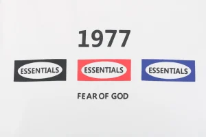 Essentials 1977 Multi-Logo Print T-shirt8.jpeg