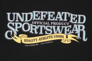 UNDEFEATED Ribbon Letter Print T-shirt18.jpeg