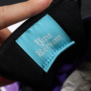 Hayley Wilson x Nike Dunk Low SB 'Court Purple'10