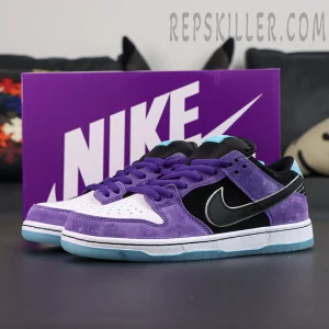 Hayley Wilson x Nike Dunk Low SB 'Court Purple'