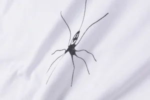 Sp5der Rodeo Cowboy Graphic T-shirt3