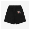 BBry Cross-Stitch Knight Logo Shorts