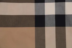 BBry Oversized Check Shirt7.jpeg