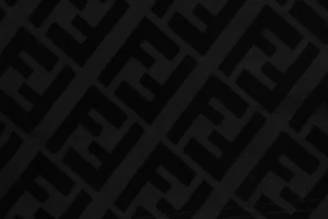 F Monogram Velvet Logo Pattern Shorts21.jpeg