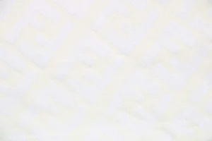 F Monogram Velvet Logo Pattern Shorts3.jpeg