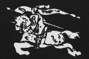 BBry Equestrian Knight Stripe Panel Sweatshirt6.jpeg