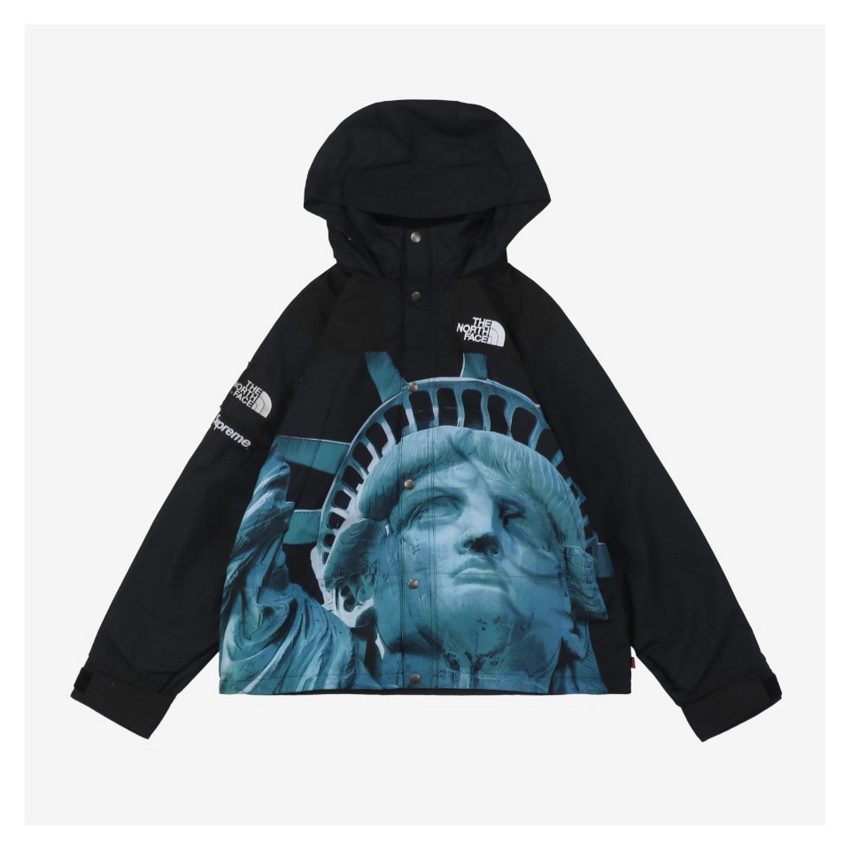 Sup x TNF Statue of Liberty Hooded Expedition Jacket Black