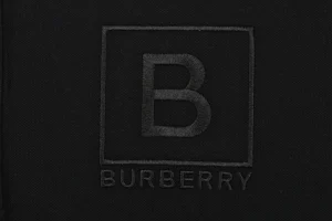 BBry Embroidered Box B Logo Polo T-shirt14.jpeg