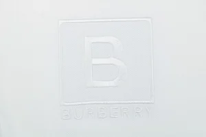 BBry Embroidered Box B Logo Polo T-shirt4.jpeg