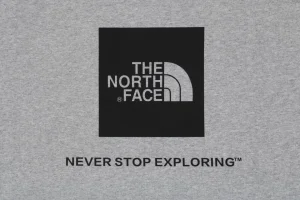 The North Face Logo Box Graphic Crewneck Sweatshirt Grey Logo Print