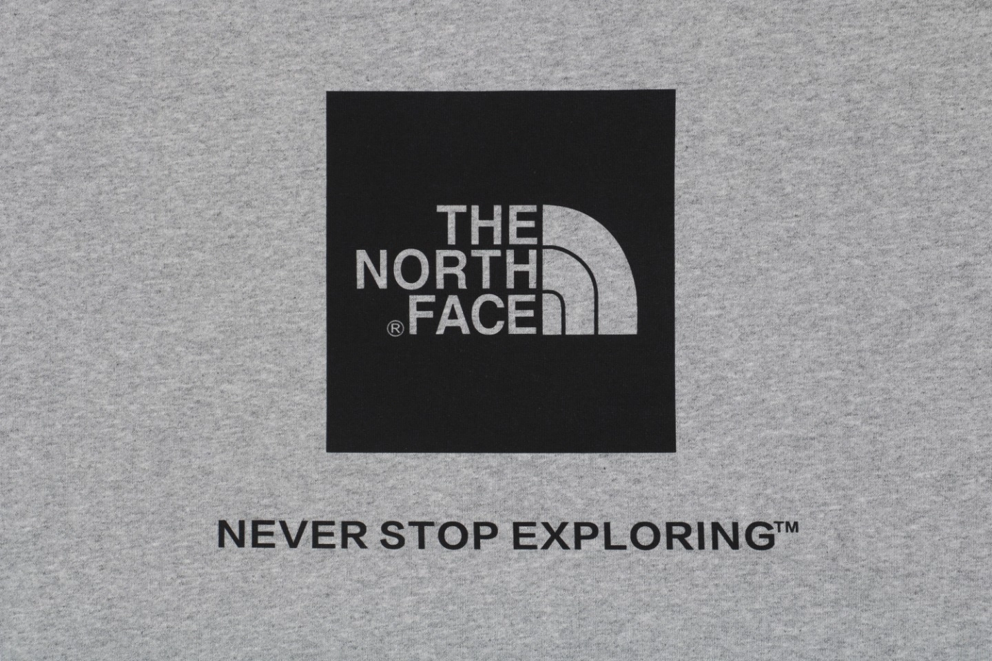 The North Face Logo Box Graphic Crewneck Sweatshirt Grey Logo Print