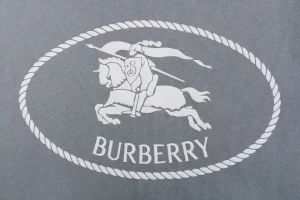 BBry Rope Knight Embroidered Zip Hoodie Back Pirnt