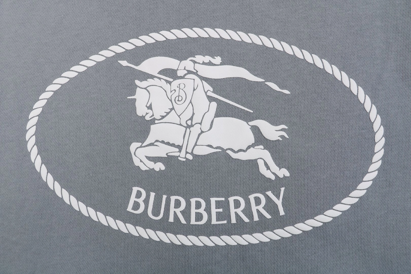 BBry Rope Knight Embroidered Zip Hoodie Back Pirnt