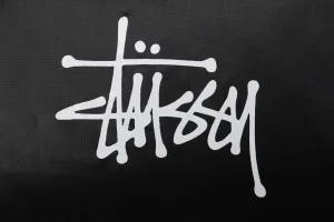 Stussy Classic Logo Hooded Down Jacket – Black/Pink Brand Print